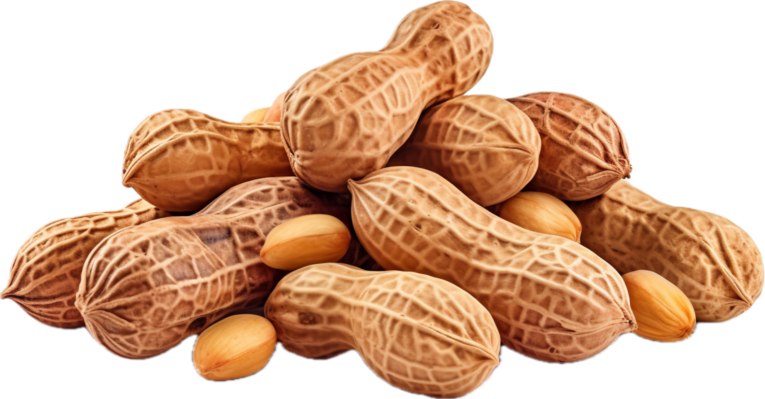 ai-generated-peanut-snack-food-free-png