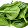 bundle-of-fresh-spinach-with-ai-generated-free-png