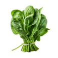 fresh-green-spinach-png