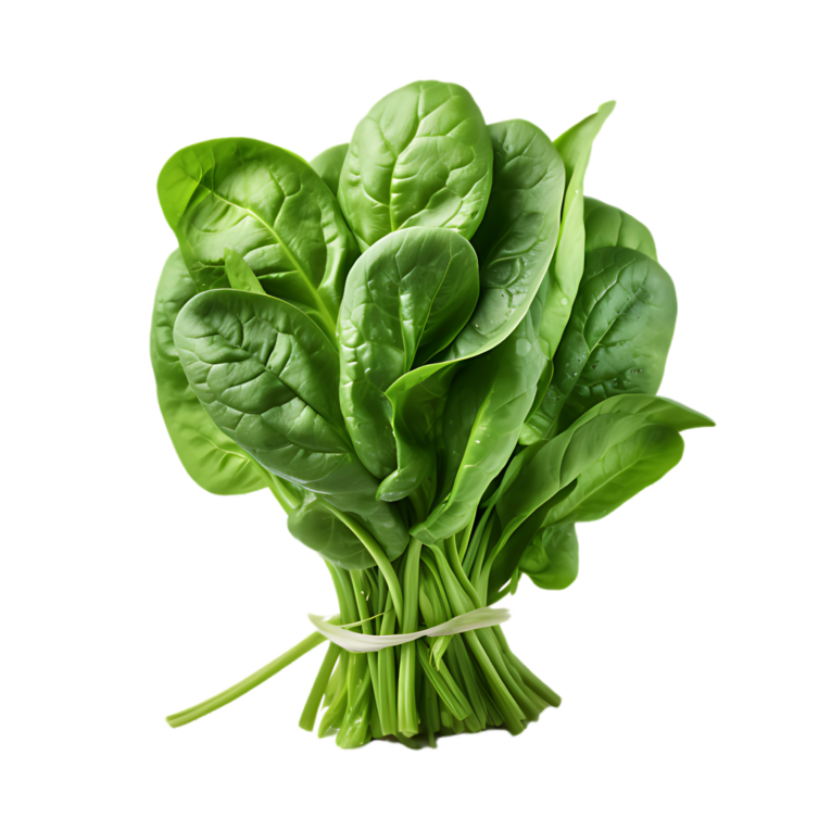 fresh-green-spinach-png