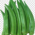 ladyfinger-okra-vegetable-organic-food-african-cuisine-vegetable