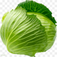 png-transparent-green-cabbage-cauliflower-red-cabbage-white-cabbage-vegetable-savoy-cabbage-cabbage-leaf-vegetable-food-leaf-thumbnail