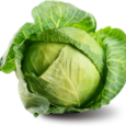 pngimg.com - cabbage_PNG8804