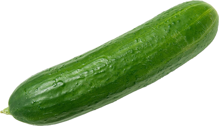 pngimg.com - cucumber_PNG12602