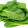 pngimg.com - spinach_PNG9